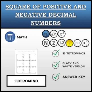 Tetromino: Square Of Positive and Negative Decimal Numbers